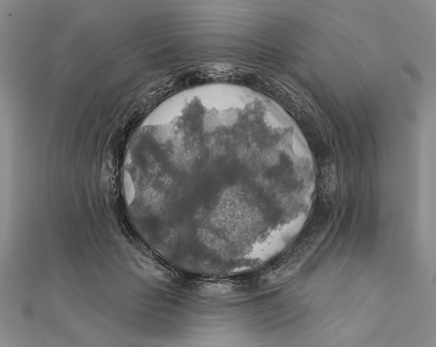 X0000111380653200908071236