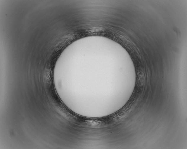 X0000111380654200908071236