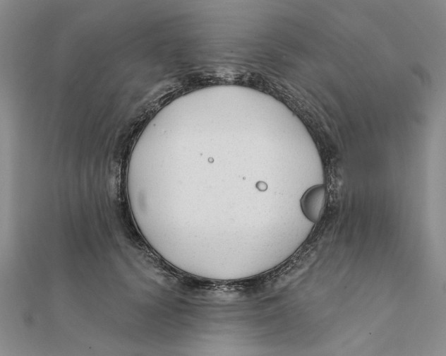 X0000111380656200908071236