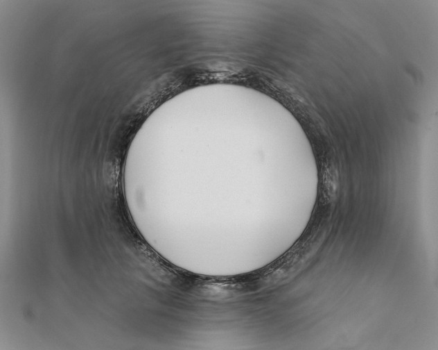 X0000111380657200908071236