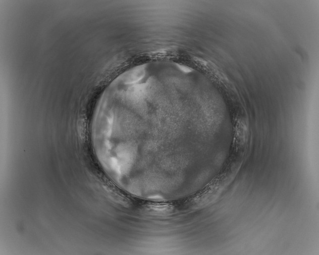 X0000111380659200908071236