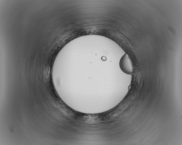 X0000111380660200908071236