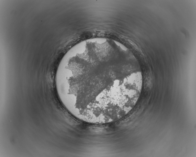 X0000111380661200908071236