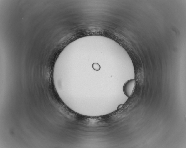 X0000111380662200908071236