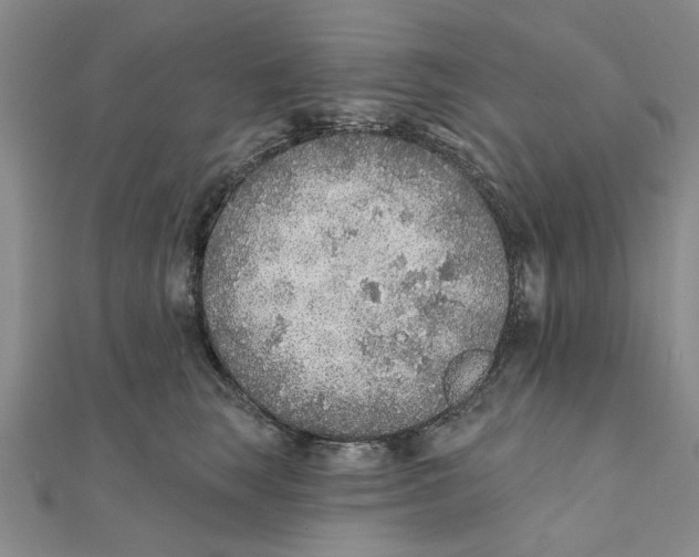 X0000111380663200908071236