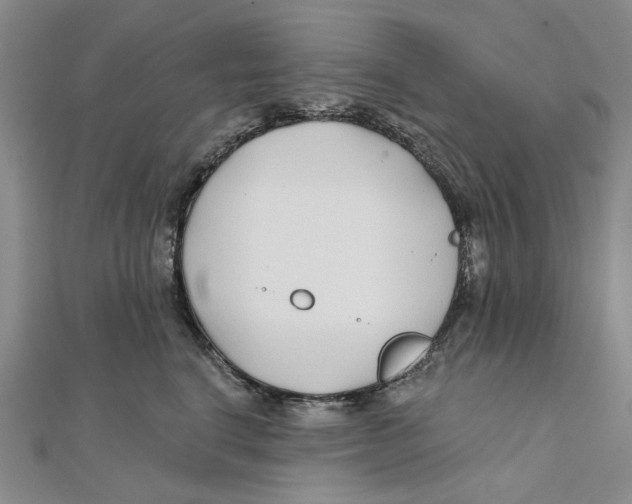 X0000111380664200908071236