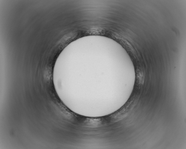 X0000111380665200908071236