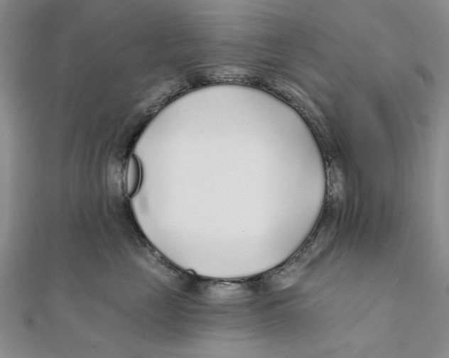 X0000111380669200908071236