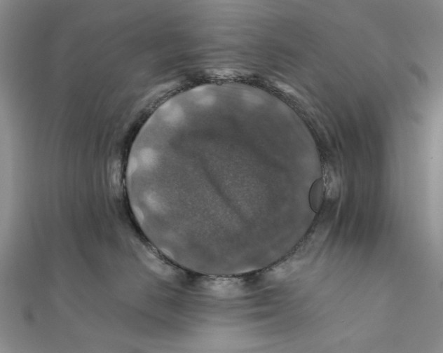 X0000111380670200908071236