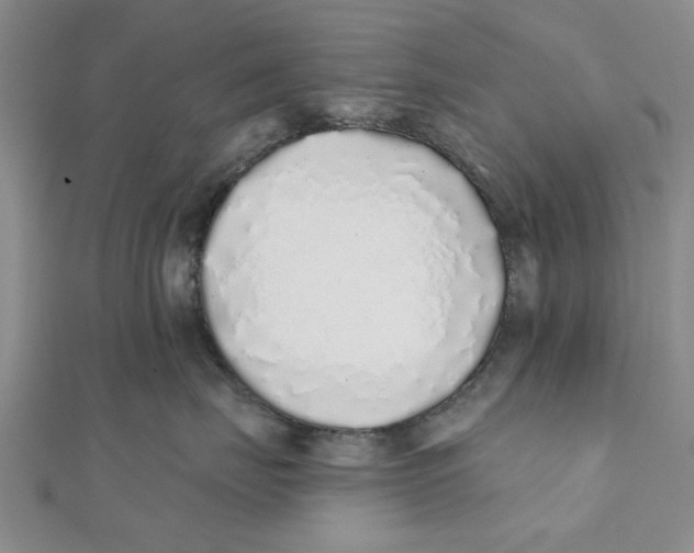 X0000111380671200908071236