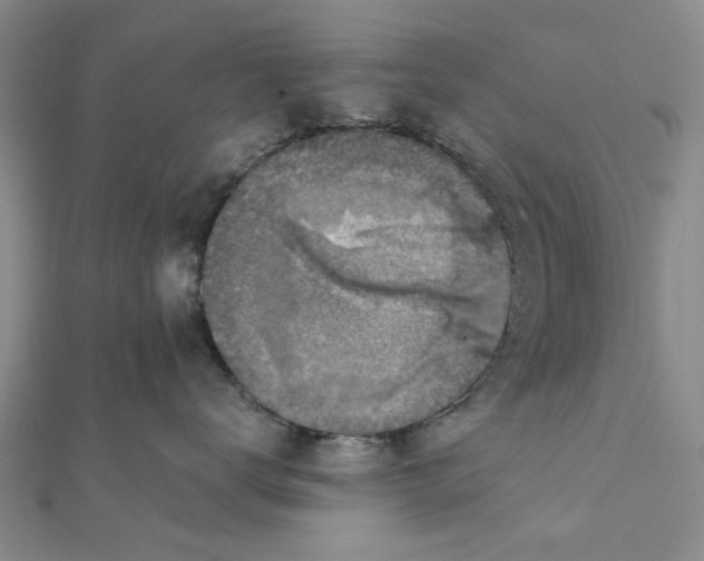 X0000111380672200908071236