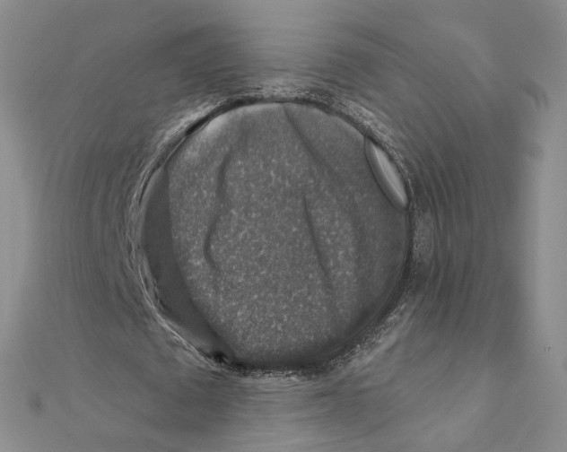 X0000111380673200908071235