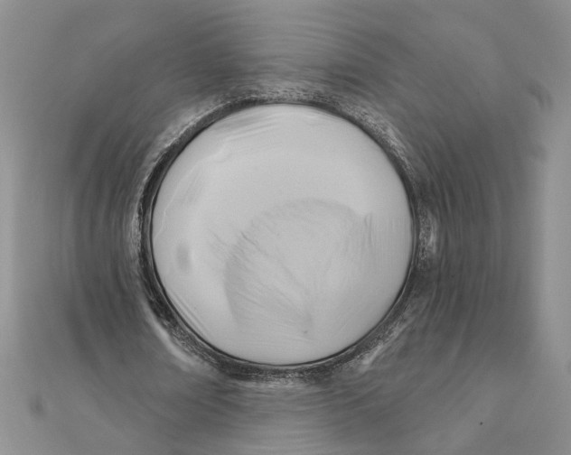 X0000111380674200908071235