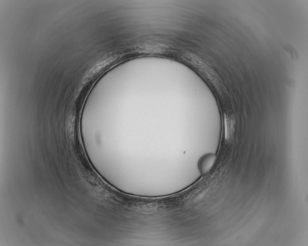 X0000111380675200908071235