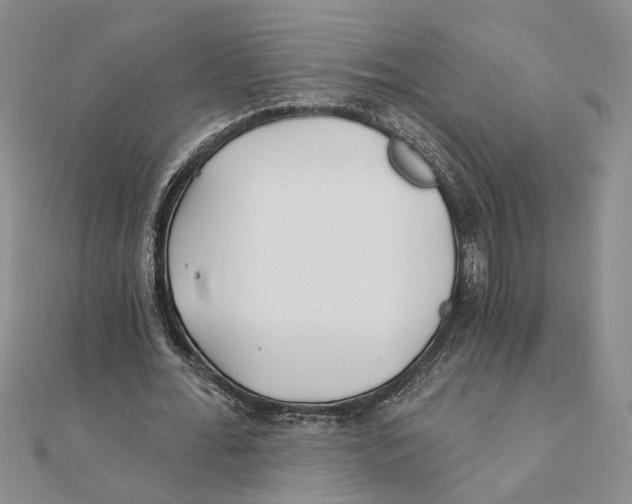 X0000111380676200908071235