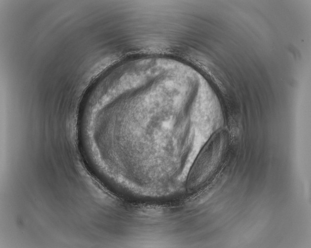 X0000111380677200908071235