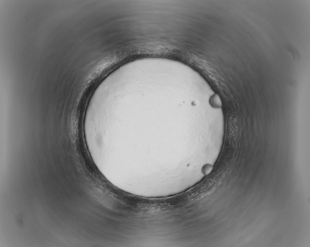 X0000111380679200908071235