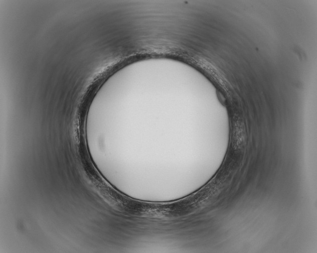 X0000111380680200908071235