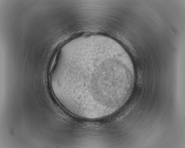 X0000111380681200908071235