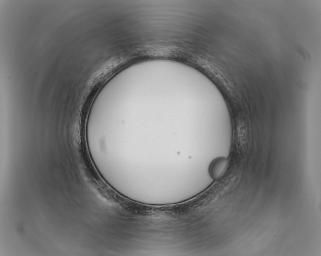 X0000111380682200908071235