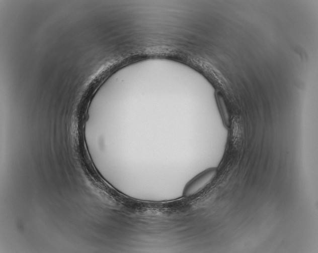 X0000111380684200908071235