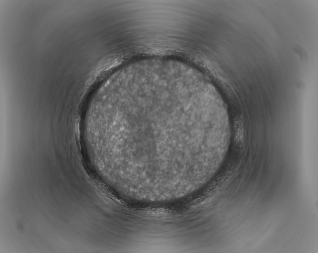 X0000111380685200908071235