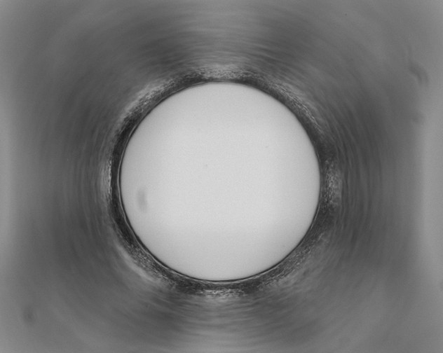 X0000111380686200908071235