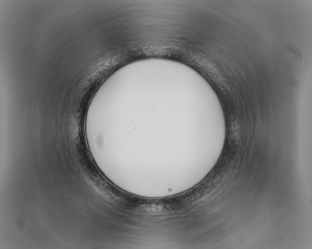 X0000111380687200908071235