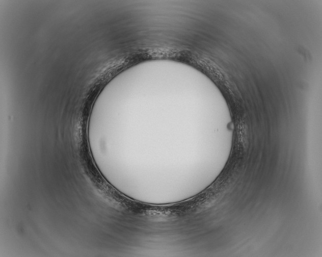 X0000111380690200908071235