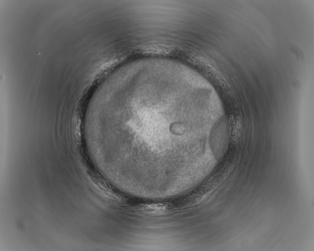 X0000111380692200908071235