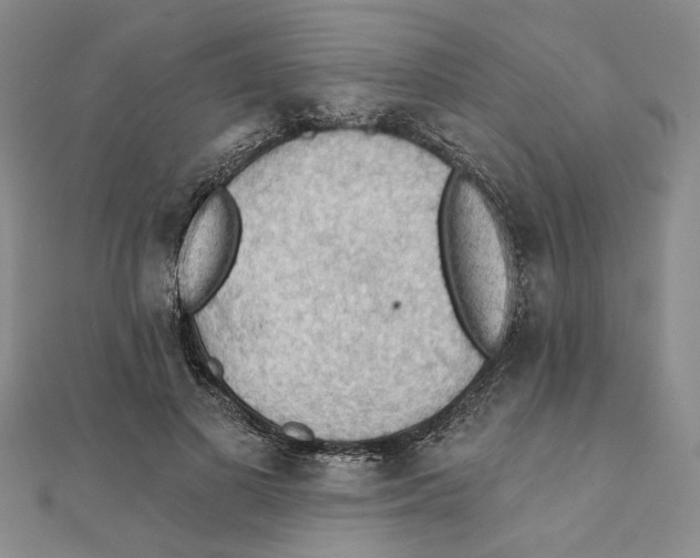 X0000111380693200908071235