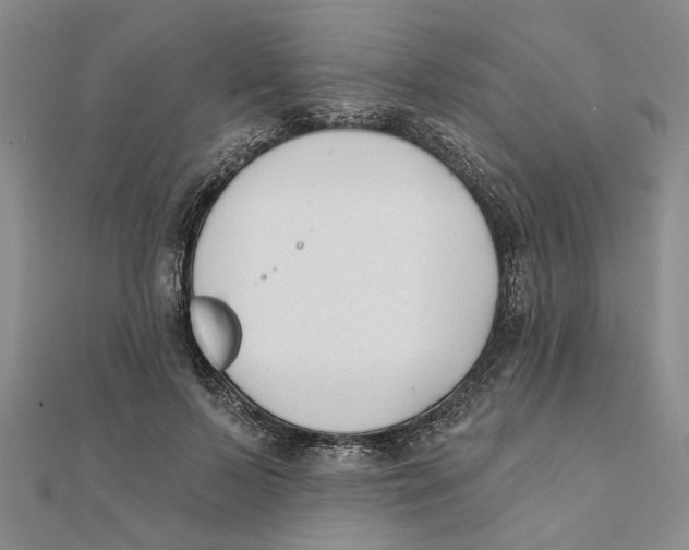 X0000111380695200908071235