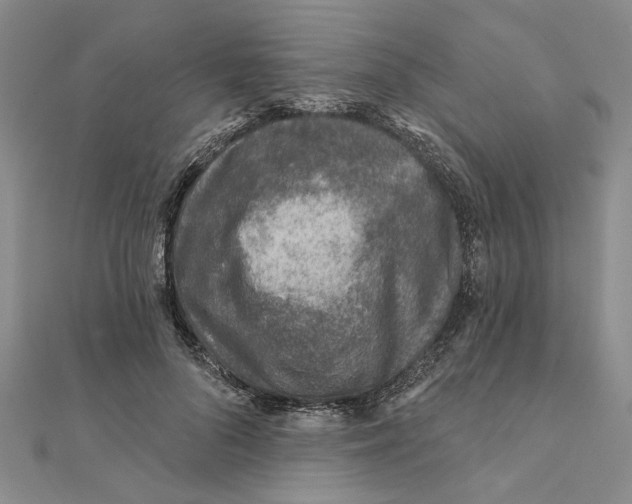 X0000111380696200908071235