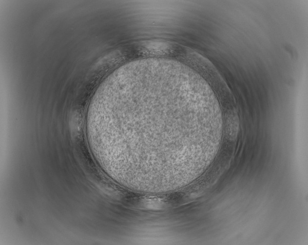 X0000111380701200908071235