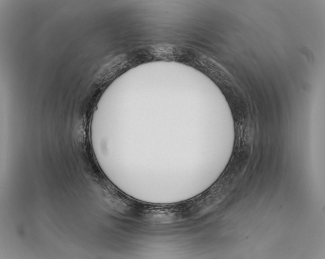 X0000111380702200908071235