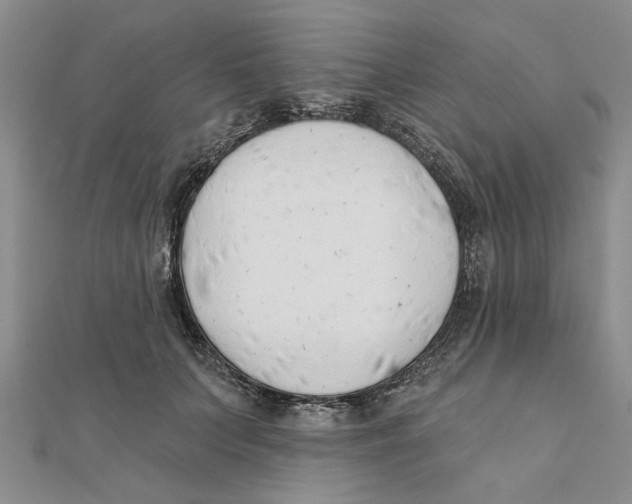 X0000111380703200908071235