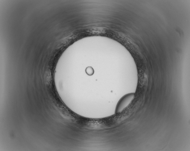 X0000111380704200908071235