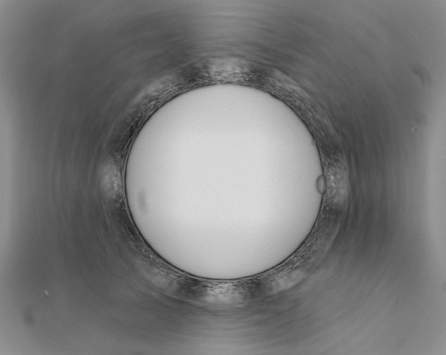 X0000111380705200908071235