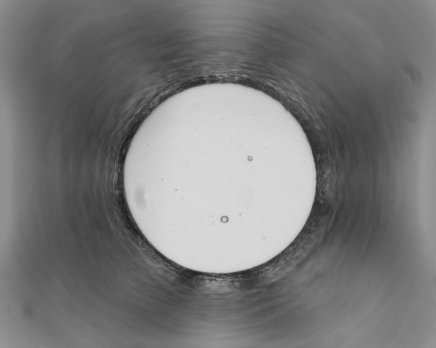 X0000111380709200908071235