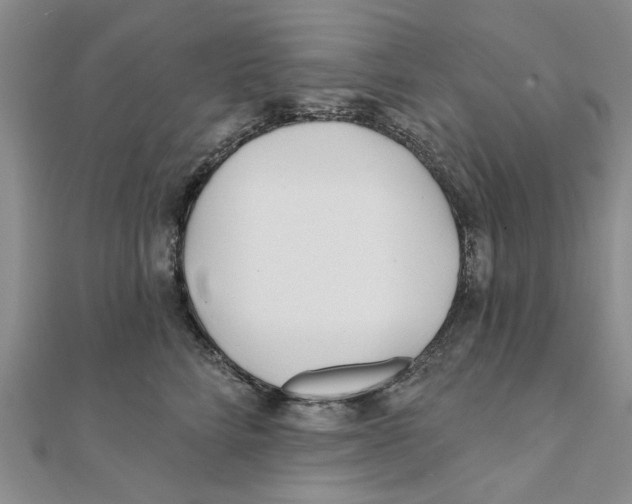 X0000111380712200908071235