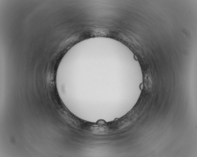 X0000111380714200908071235