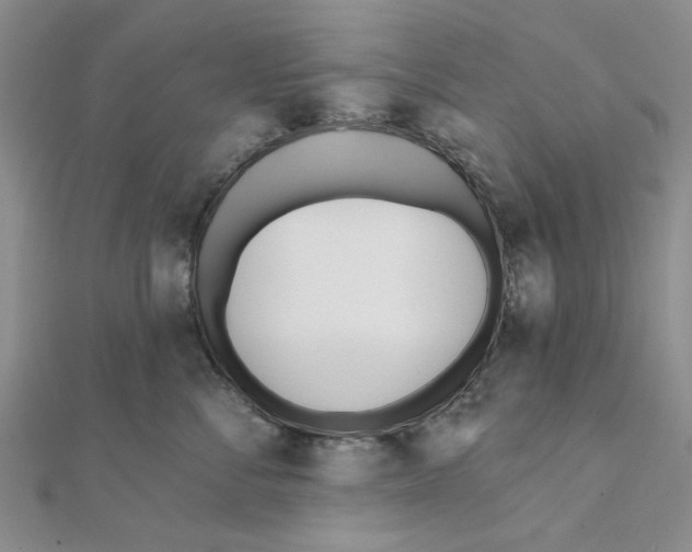 X0000111380716200908071235