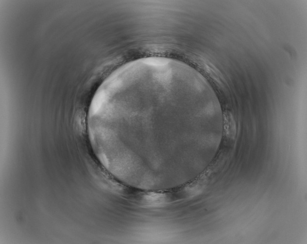 X0000111380718200908071235