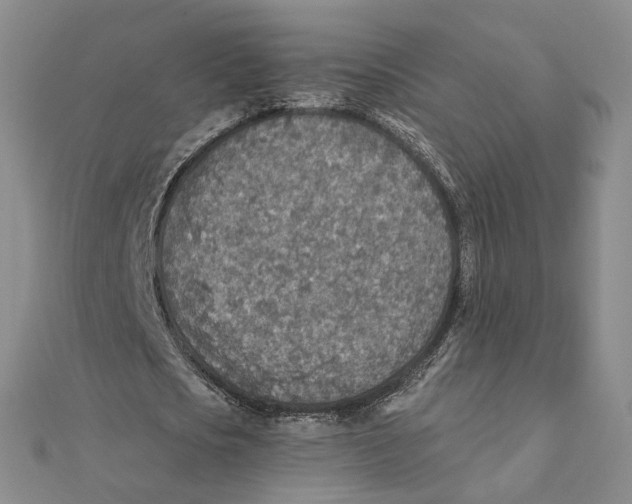 X0000111380721200908071234