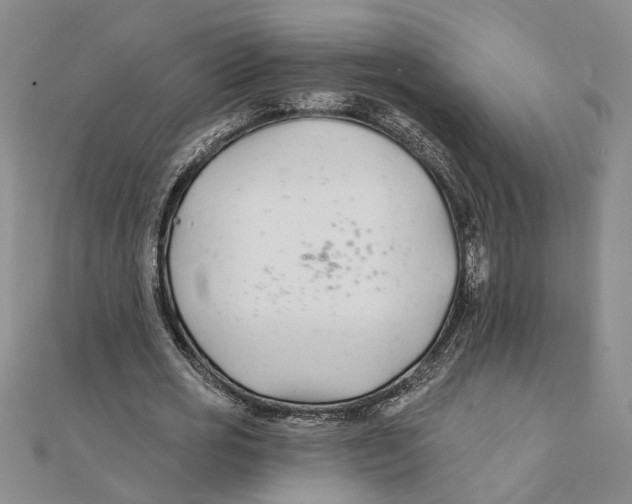 X0000111380725200908071234