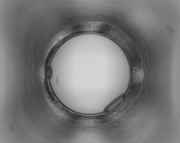 X0000111380726200908071234