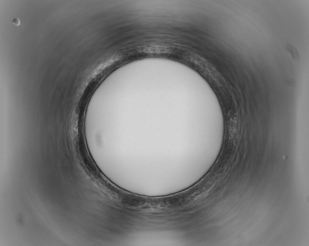 X0000111380727200908071234