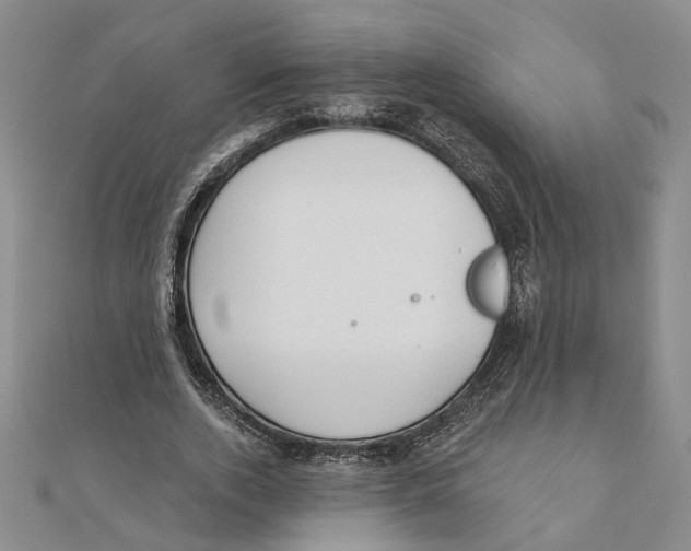 X0000111380728200908071234