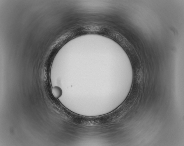 X0000111380731200908071234