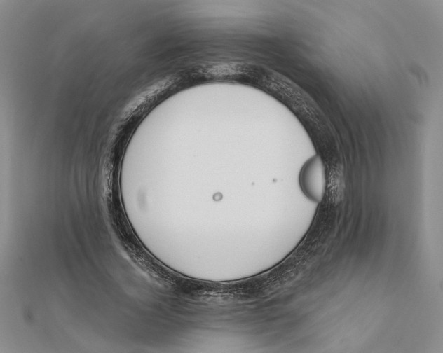 X0000111380732200908071234